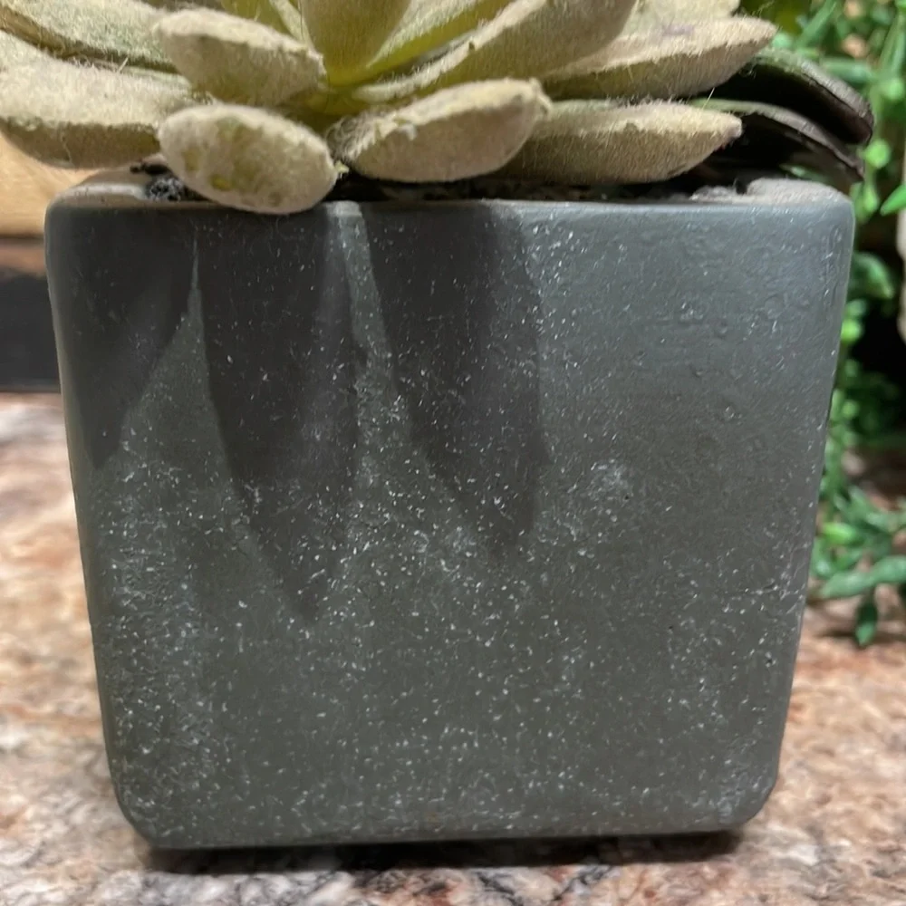 Faux succulents